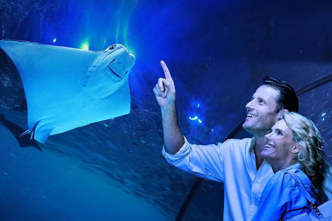 Cairns Aquarium Tour By Twilight With Drink And Appetiser - Pubs Perth 4