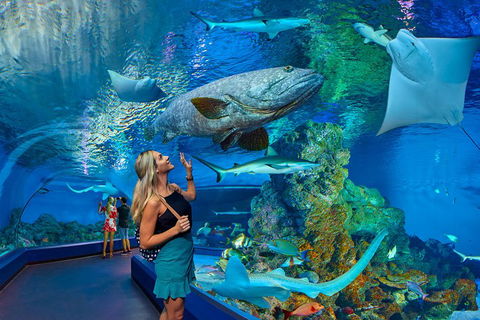 Cairns Aquarium Admission Ticket - Pubs Perth 3