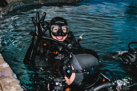Cairns Aquarium Dive With The Sharks - Pubs Perth 0