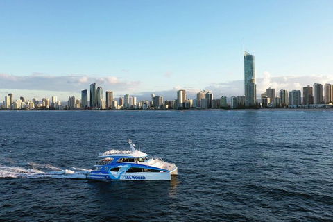 Whale Watching By Sea World Cruises - Pubs Perth 1