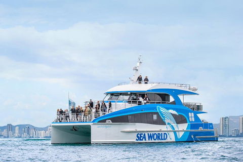 Whale Watching By Sea World Cruises - Pubs Perth 3