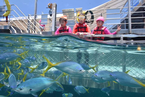 Outer Reef Pontoon Experience From Cairns - Pubs Perth 0
