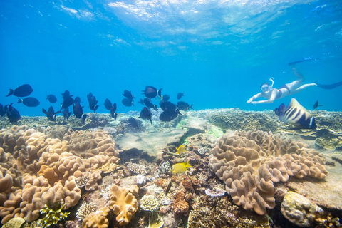 Outer Reef Pontoon Experience From Cairns - Pubs Perth 4