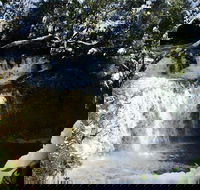 Cradle Mountain Day Tour from Launceston Including Lunch - Pubs Perth