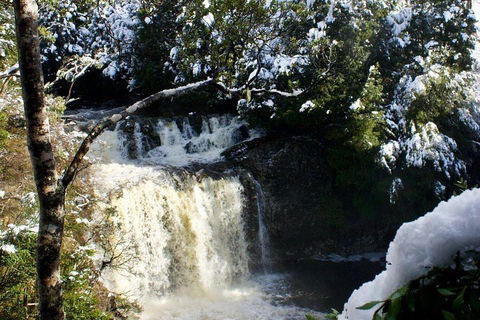 Cradle Mountain Park Explorer Guided Tour - Pubs Perth 4