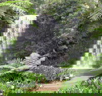 Private Daintree and Cape Tribulation Tour from Port Douglas - Pubs Perth