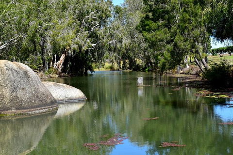 Private Daintree And Cape Tribulation Tour From Port Douglas - Pubs Perth 3