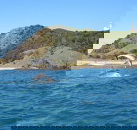 Kayaking with Dolphins in Byron Bay Guided Tour - Pubs Perth