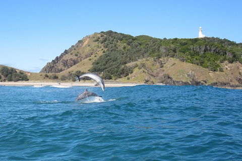 Kayaking With Dolphins In Byron Bay Guided Tour - Pubs Perth 0