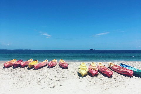 Kayaking With Dolphins In Byron Bay Guided Tour - Pubs Perth 1