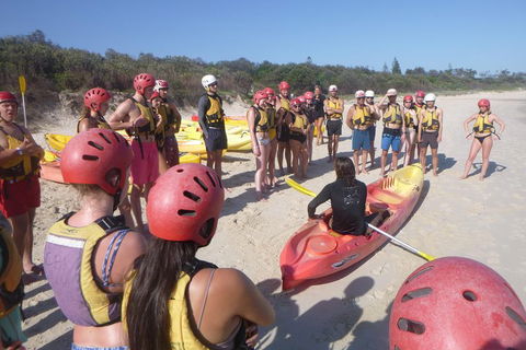 Kayaking With Dolphins In Byron Bay Guided Tour - Pubs Perth 2