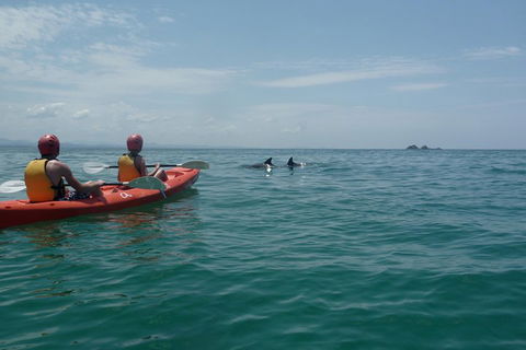 Kayaking With Dolphins In Byron Bay Guided Tour - Pubs Perth 4