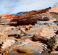 Broome City Sightseeing Tour with Optional Camel Ride - Pubs Perth