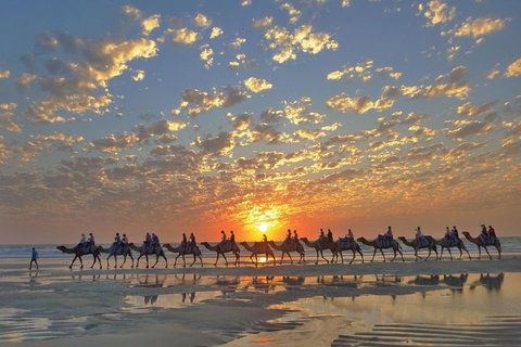 Broome City Sightseeing Tour With Optional Camel Ride - Pubs Perth 1