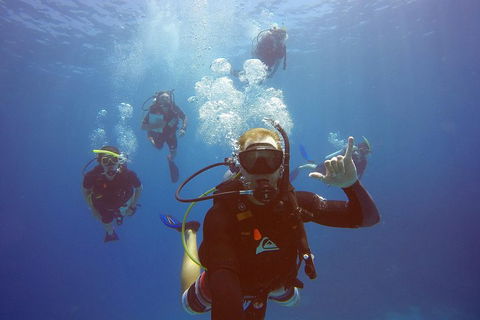 12-Day Great Barrier Reef Marine Conservation Program From Cairns - Pubs Perth 0