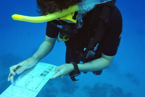 12-Day Great Barrier Reef Marine Conservation Program From Cairns - Pubs Perth 2