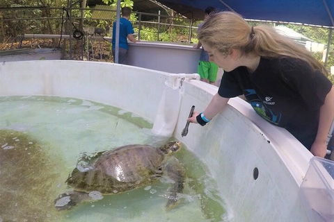 12-Day Great Barrier Reef Marine Conservation Program From Cairns - Pubs Perth 4