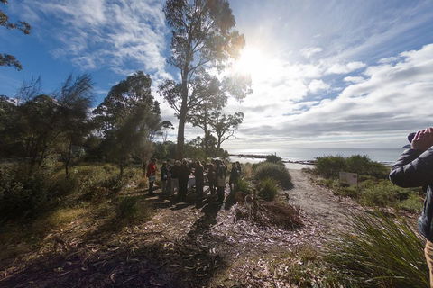 Bruny Island Day Tour, Includes Lunch And Exclusive Lighthouse Tour - Pubs Perth 5