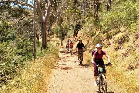 Mount Lofty Descent Bike Tour From Adelaide - Pubs Perth 3