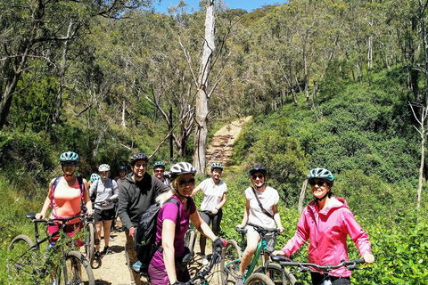 Mount Lofty Descent Bike Tour From Adelaide - Pubs Perth 5