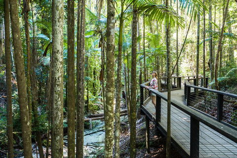 All-Inclusive Fraser Island Day Tour - Pubs Perth 5