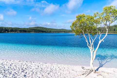 Lake McKenzie Full-Day Tour With Lunch From Hervey Bay - Pubs Perth 1