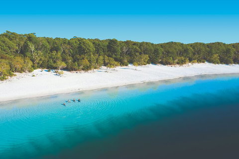 Lake McKenzie Full-Day Tour With Lunch From Hervey Bay - Pubs Perth 4