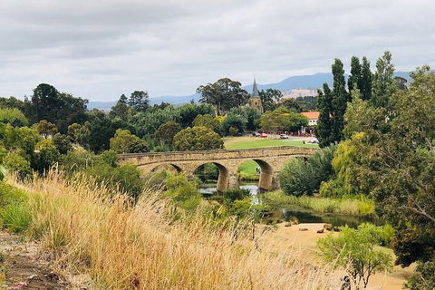Day Tour In Mt. Field, Mt. Wellington, Bonorong Wildlife Sanctuary And Richmond - Pubs Perth 3