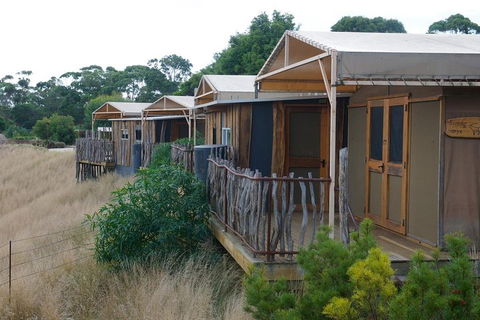 Slumber Safari At Werribee Open Range Zoo - Pubs Perth 4