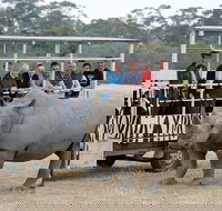 Off-Road Safari at Werribee Open Range Zoo - Pubs Perth