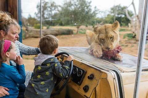 Werribee Open Range Zoo General Admission Ticket - Pubs Perth 4