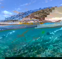Great Barrier Reef Scenic Flight and Ocean Rafting Whitehaven Beach Day Trip - Pubs Perth