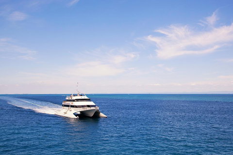 Tangalooma Island Resort Whale Watching Day Cruise - Pubs Perth 5