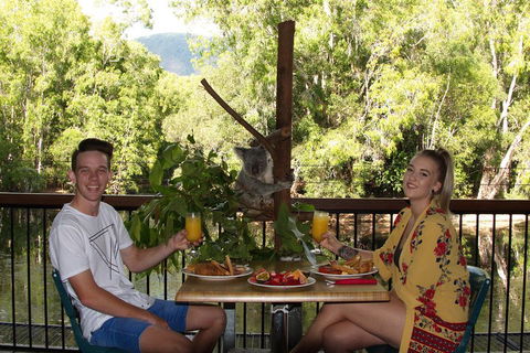 Hartley's Crocodile Adventures Breakfast With The Koalas - Pubs Perth 5