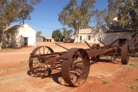 Palm Valley 4WD Day Tour - Pubs Perth 0