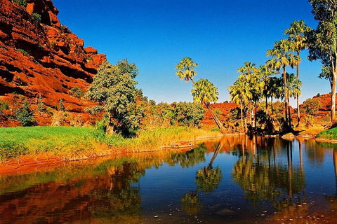 Palm Valley 4WD Day Tour - Pubs Perth 2