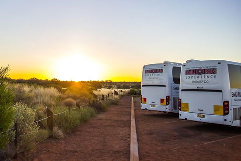 Uluru And Kata Tjuta Experience With BBQ Dinner - Pubs Perth 2