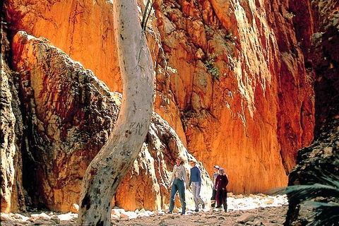 West MacDonnell Ranges Day Trip From Alice Springs - Pubs Perth 3