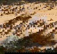 Pinnacles Sunset Dinner and Stargazing Experience a Small Group Tour - Pubs Perth