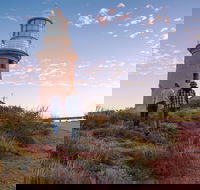 6-Day Coral Coaster from Perth to Exmouth One-Way via Monkey Mia Ningaloo Reef - Pubs Perth