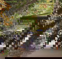 Adelaide Highlights Hahndorf  McLaren Vale Wine Tasting and Sightseeing Tour - Pubs Perth