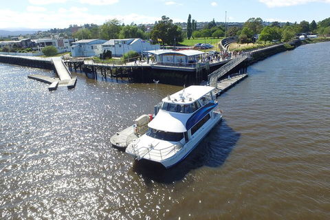 2.5 Hour Morning Discovery Cruise Including Sailing Into The Cataract Gorge - Pubs Perth 3