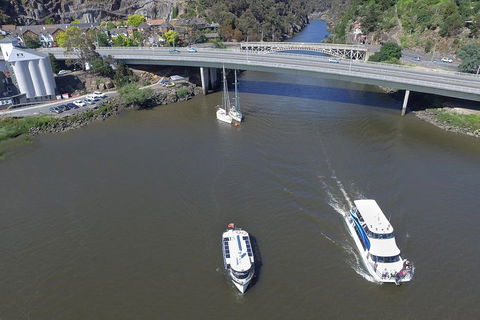 2.50 Hour Afternoon Discovery Cruise Including Cataract Gorge Departing At 3 Pm - Pubs Perth 5