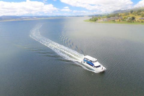 2.5 Hour Afternoon Discovery Cruise Including Cataract Gorge Departs At 1: 30 Pm - Pubs Perth 0
