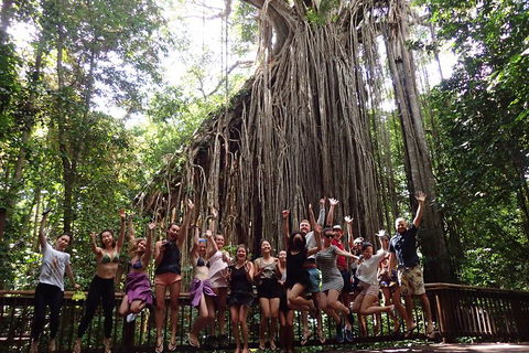 Atherton Tablelands Waterfalls Tour From Cairns - Pubs Perth 5