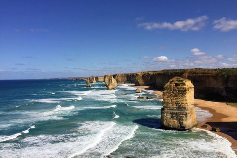 Great Ocean Road Reverse Itinerary PREMIUM Tour - Pubs Perth 2