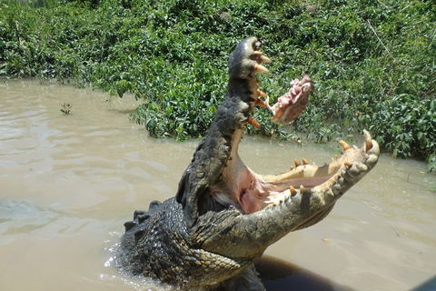 Litchfield And Jumping Crocodiles Full Day Trip From Darwin - Pubs Perth 3