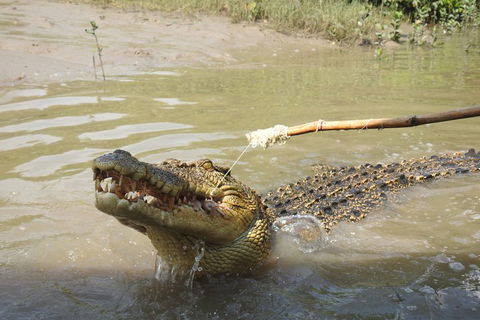 Litchfield And Jumping Crocodiles Full Day Trip From Darwin - Pubs Perth 4