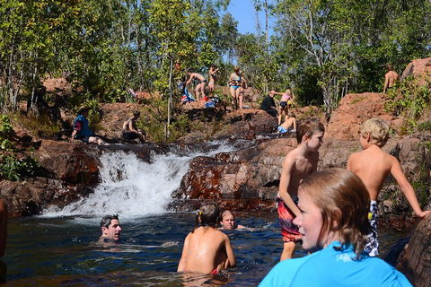 Litchfield And Jumping Crocodiles Full Day Trip From Darwin - Pubs Perth 5