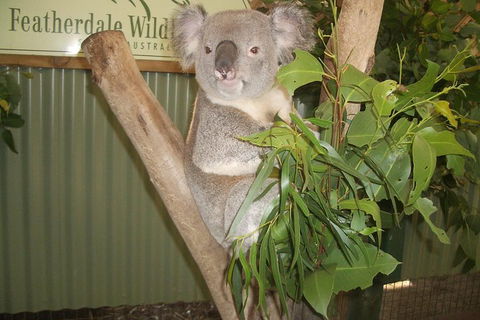 Blue Mountains Private Full-Day Tour From Sydney With Cruise - Pubs Perth 0